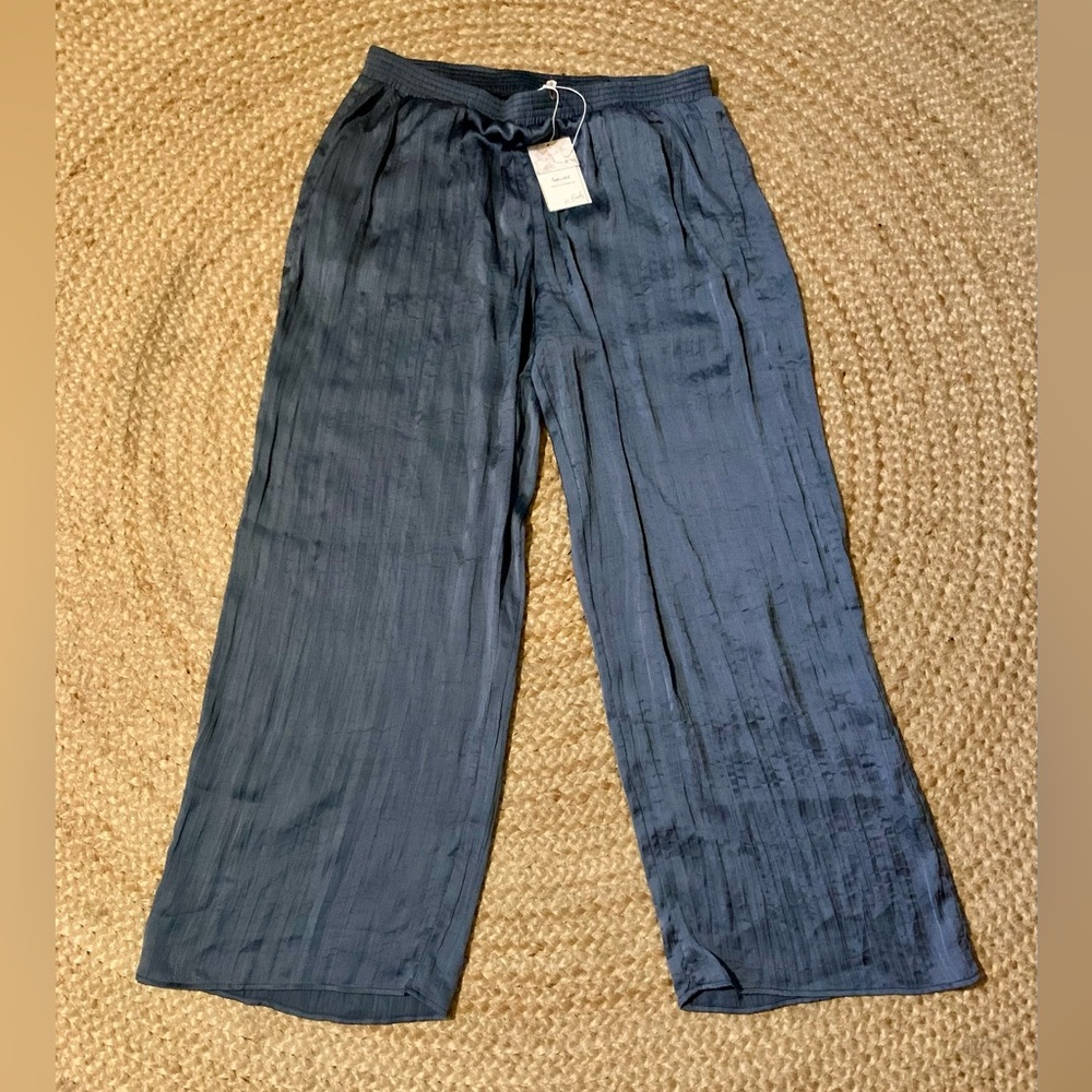 NWT Splendid Gray Pants Size L